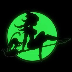Moon Witch Cat Glow in the Dark Enamel Pin Kreepsville Halloween Brooch New